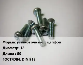 Винт установочный, с цапфой 12х50 DIN 915